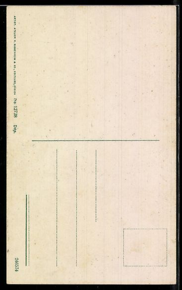 Cartoline postali: AK Morat, Le château – Usato da Berlin venduto da bartko-reher 1