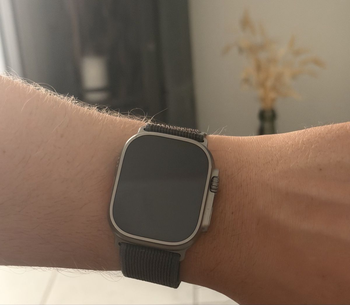 Apple Smartwatch: Apple Watch Ultra 2 - 49mm – Gebraucht aus Uster von mdp1989 1