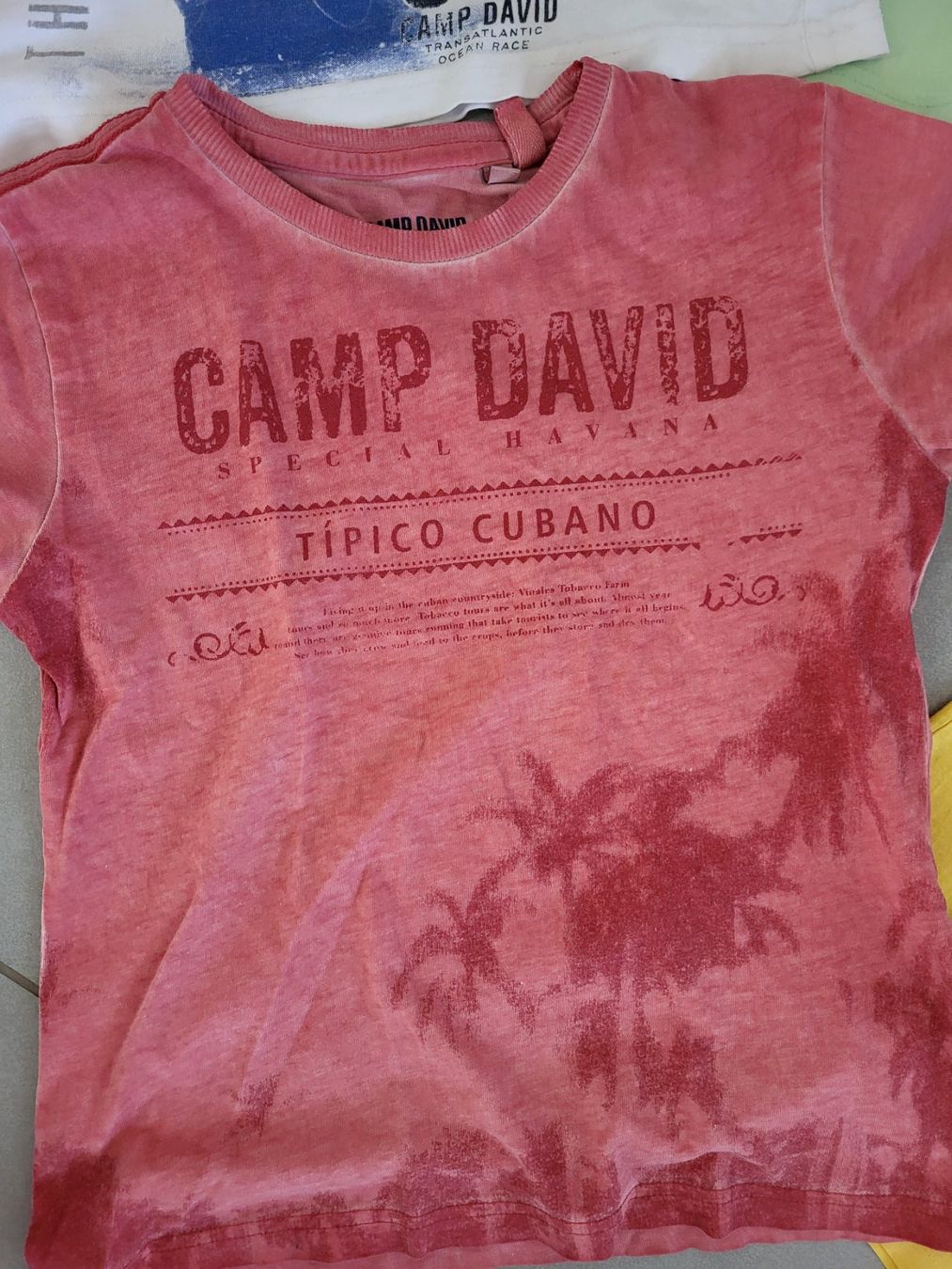 Camp David Camicie, T-shirt & Polo: T-Shirts David Camp 5 Stk gr. 116 – Usato da Boswil venduto da i12i 1