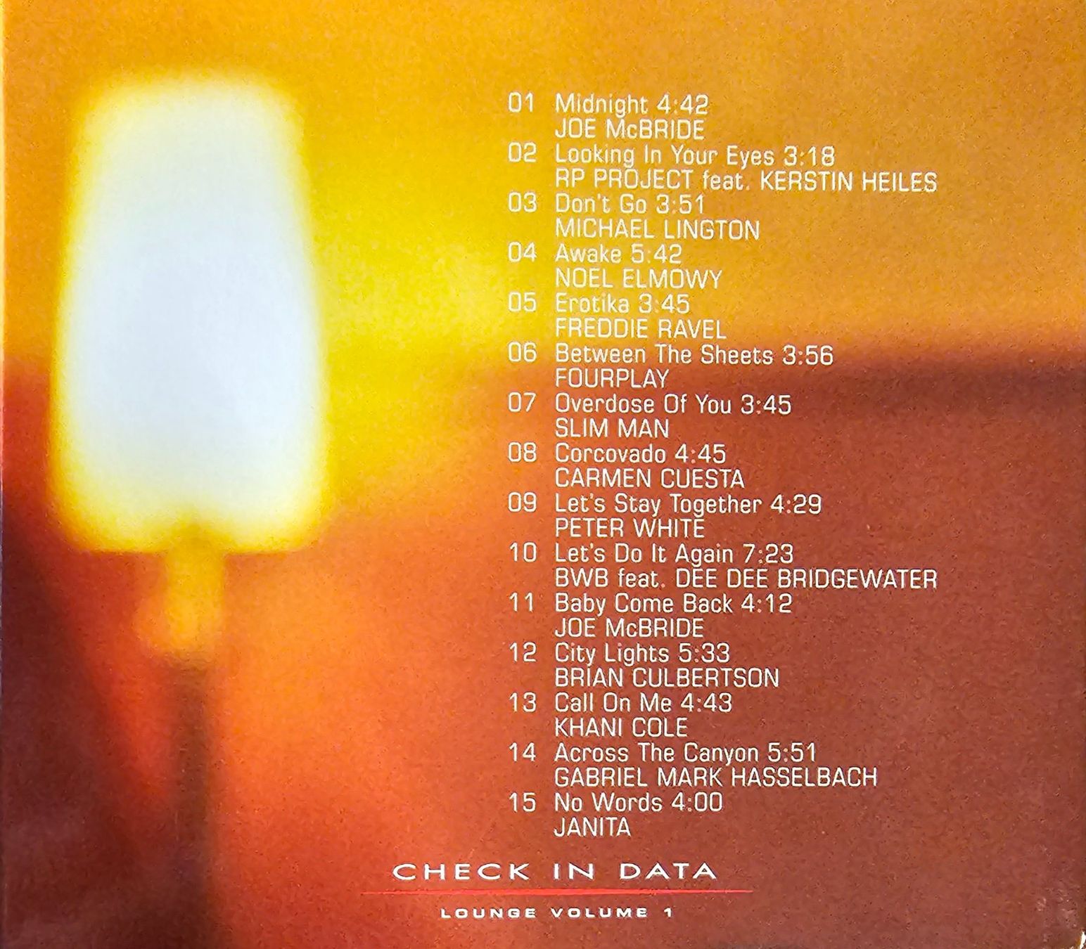 CDs: City Lights - Check-In Data Lounge Volume 1 – Gebraucht aus Wahlen b. Laufen von Cg10 1