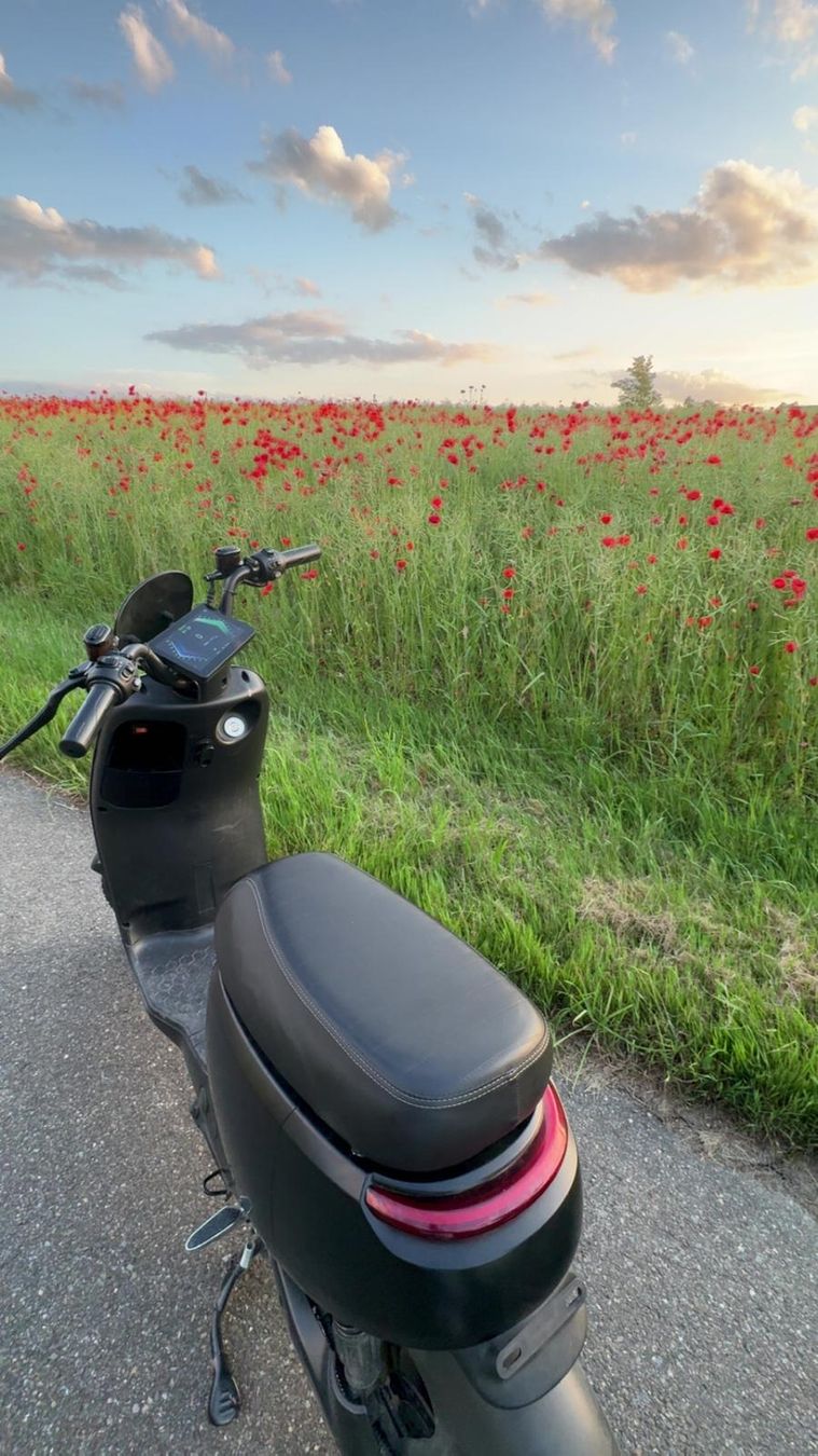 Scooters: Elektroroller Zilla Loki X – Gebraucht aus Zürich von MilanVitic88 2
