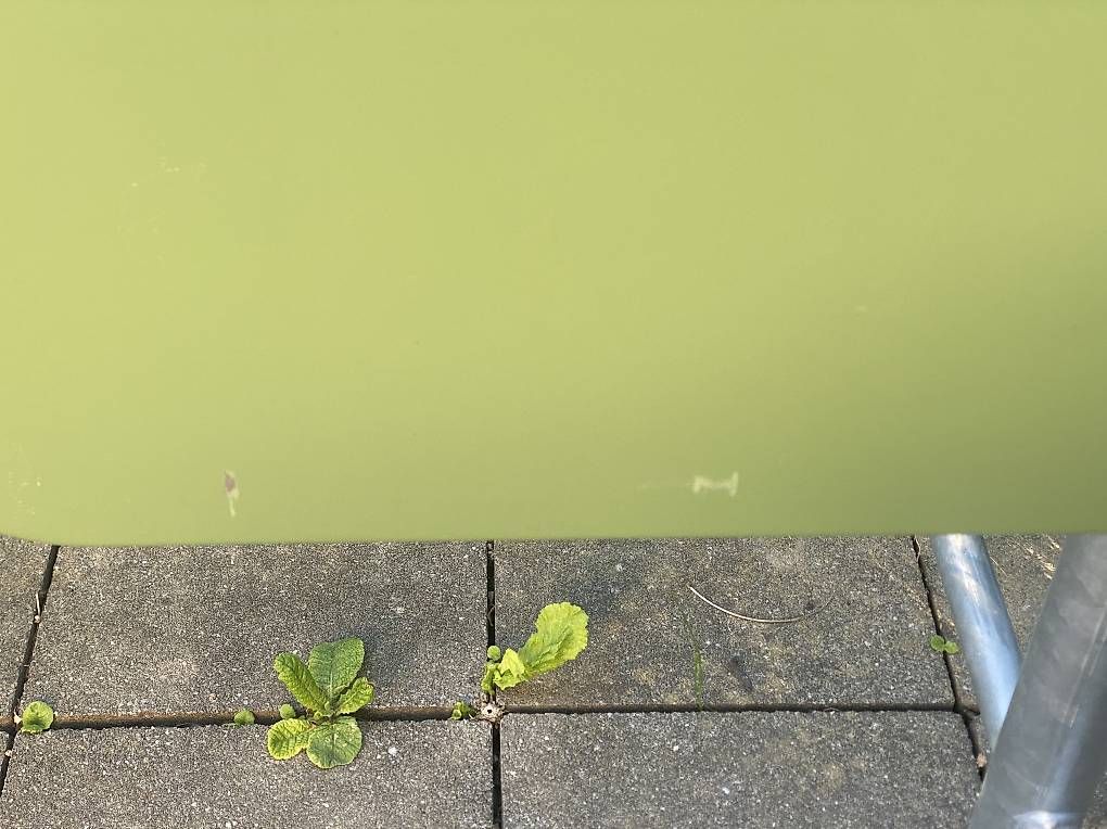 Atelier Alinea Tables: Gartentisch Atelier ALINEA – Neuf (Voir description) à Gwatt (Thun) par an_dreaming 2