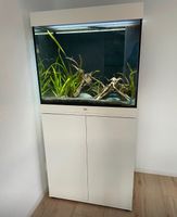 Aquarium Juwel