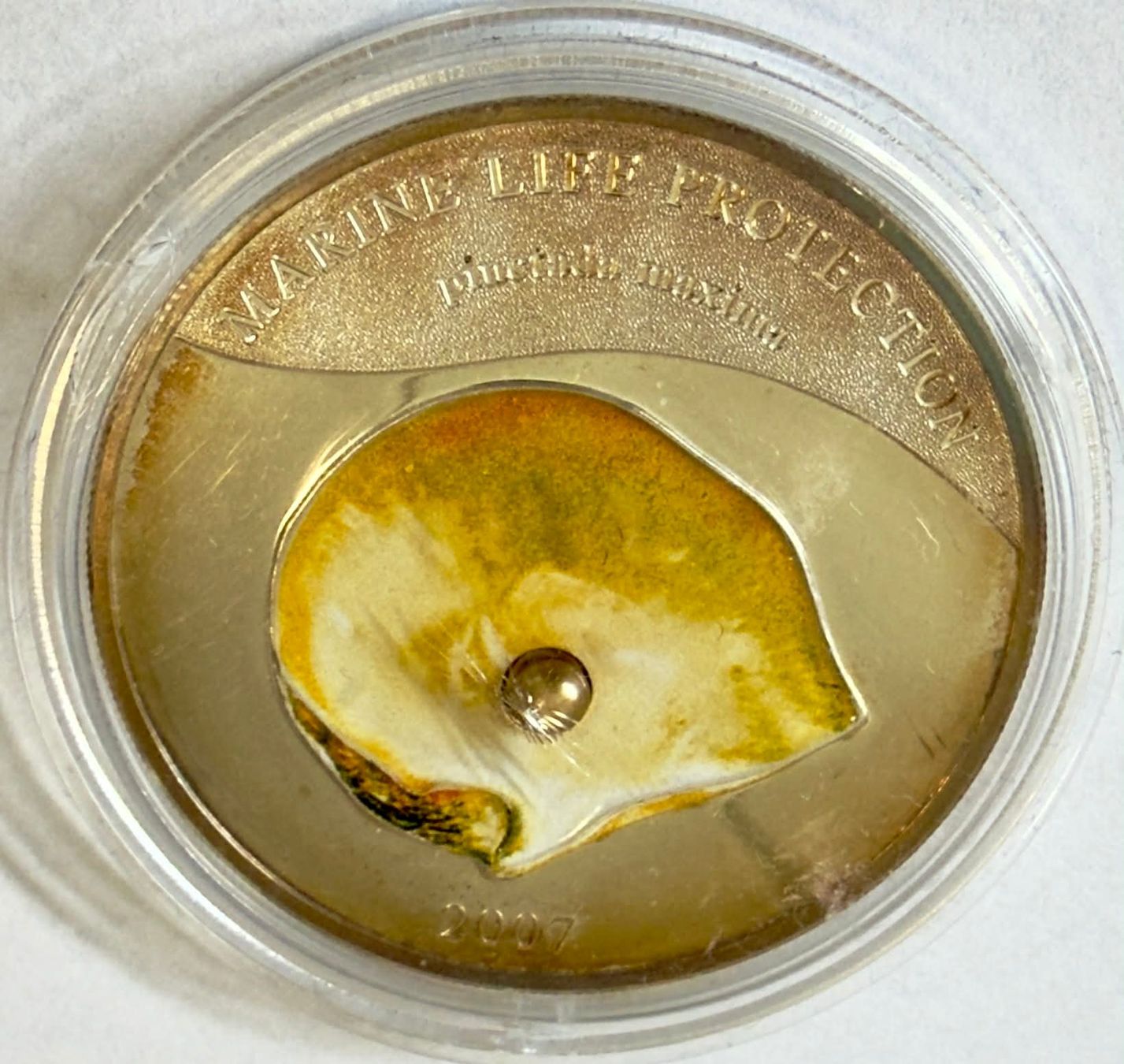 Tutti le monete: Palau 5 Dollars 2007 with capsule UNC Silver coin – Nuovo (secondo la descrizione) da Zürich venduto da Tasmiyah 2