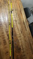 Balzer Gothic Spin 2.70m 30-70g Rute gebraucht