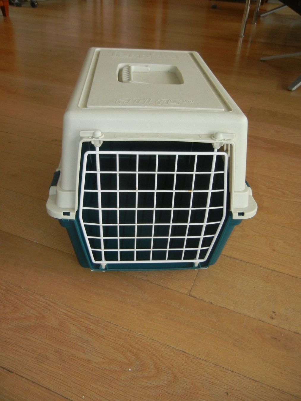 Gabbie, trasporto & Sicurezza: Transportbox für Katzen – Usato da Langendorf venduto da sonntag10