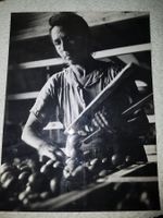 Original Vintage Fotografie Frau bei der Arbeit