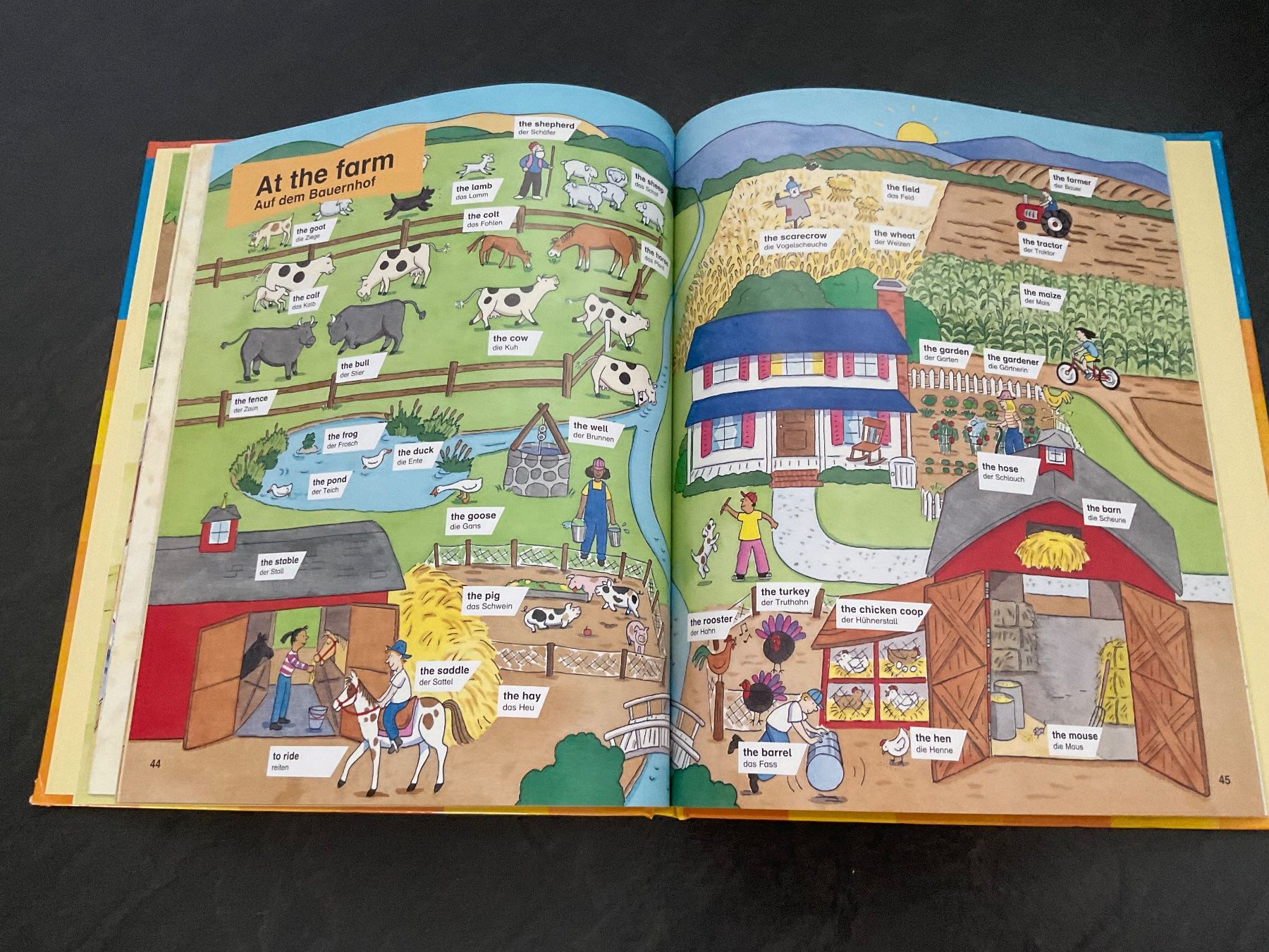 Bücher: Langenscheidt Bild-Wörterbuch Englisch Kinderbuch – Gebraucht aus Wetzikon ZH von Laube02 5