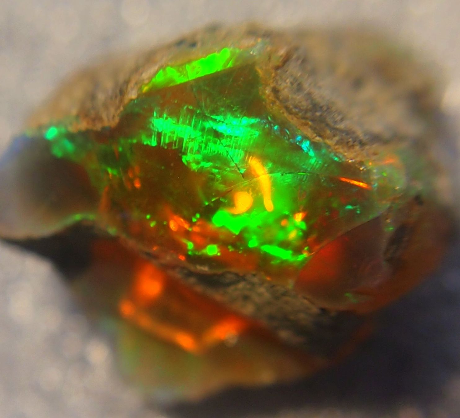 Pietre preziose: 28,5 ct. TOP funkelnder FEUEROPAL! – Nuovo e nell'imballaggio originale da Reinach BL venduto da Marcopal 6