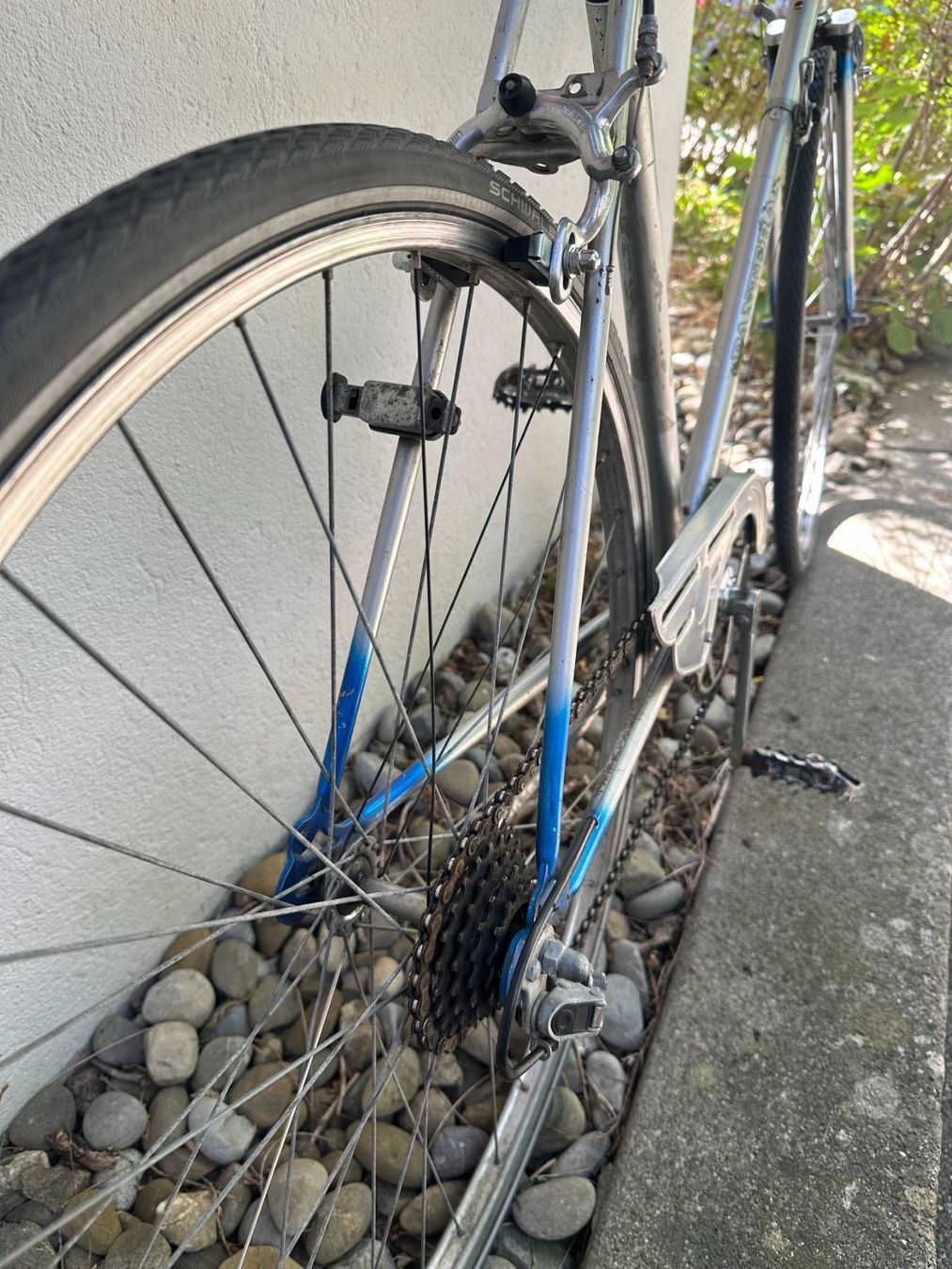 Biciclette: Panthera Herrenvelo – Usato da Zürich venduto da cedkob 3