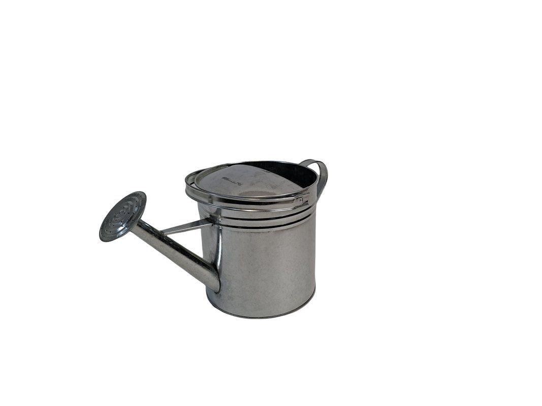 Bewässern & Giessen: HERSTERA Giesskanne 10 L Silber – Gebraucht aus Wil SG von  5