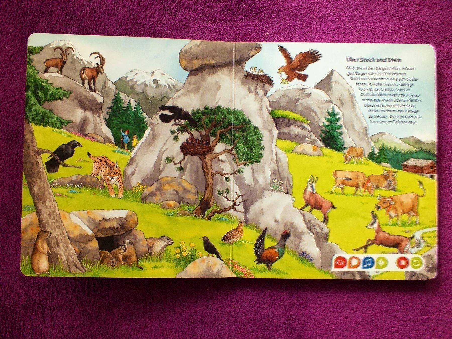 Bücher: tiptoi Buch - Bilderlexikon Tiere – Gebraucht aus Müllheim Dorf von Seeeule01 1