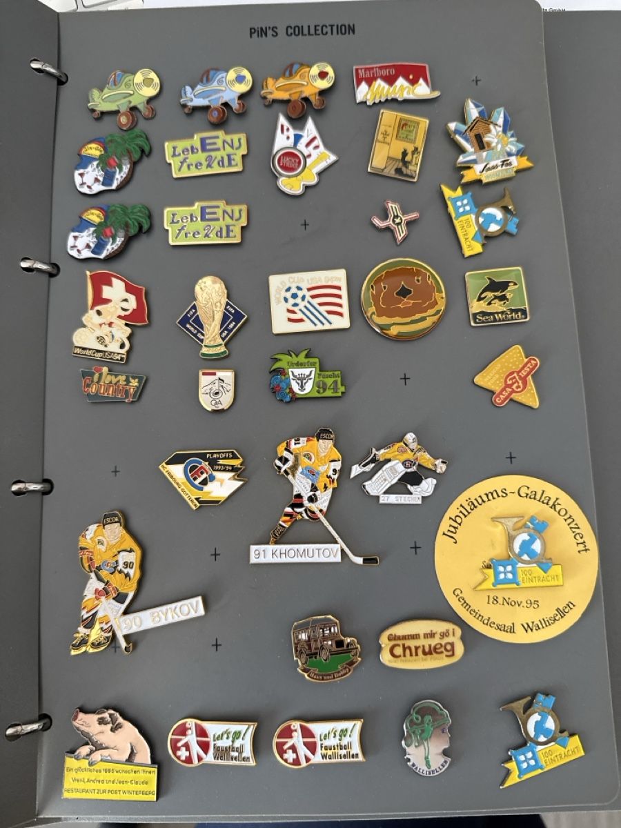 Ferri: Pin Sammlung  Vintage! – Usato da Wallisellen venduto da Casanna56 1