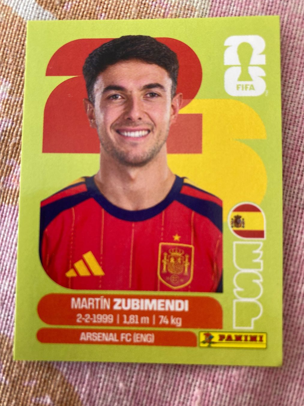 Panini Cartes à collectionner: WM Sticker ESP 9 – Neuf (Voir description) à Winterthur par Whitefish
