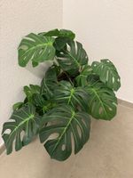 Künstliche Monstera mit geflochtenem Korb guter Zustand
