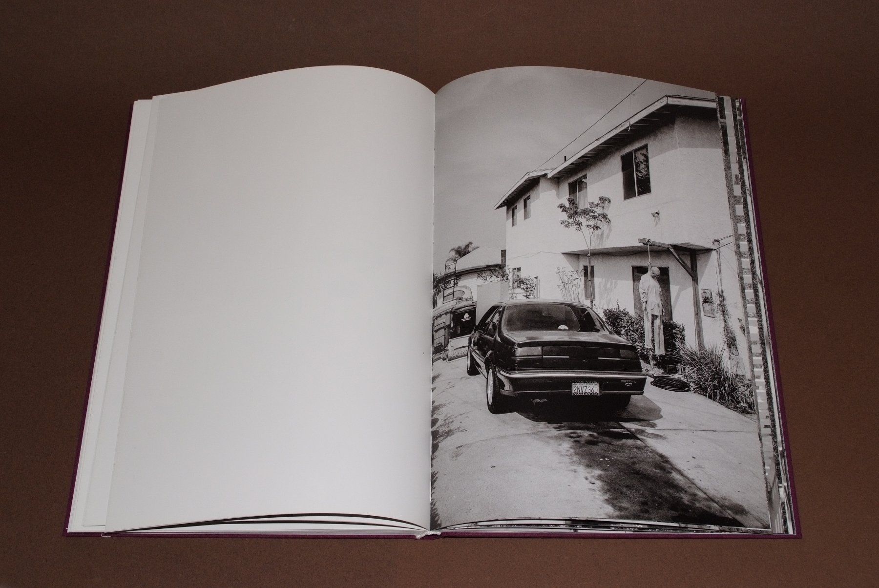 Libri: Cameron Jamie - Front Lawn Funerals #Horror #Halloween – Usato da Aarau venduto da Pearlz 4
