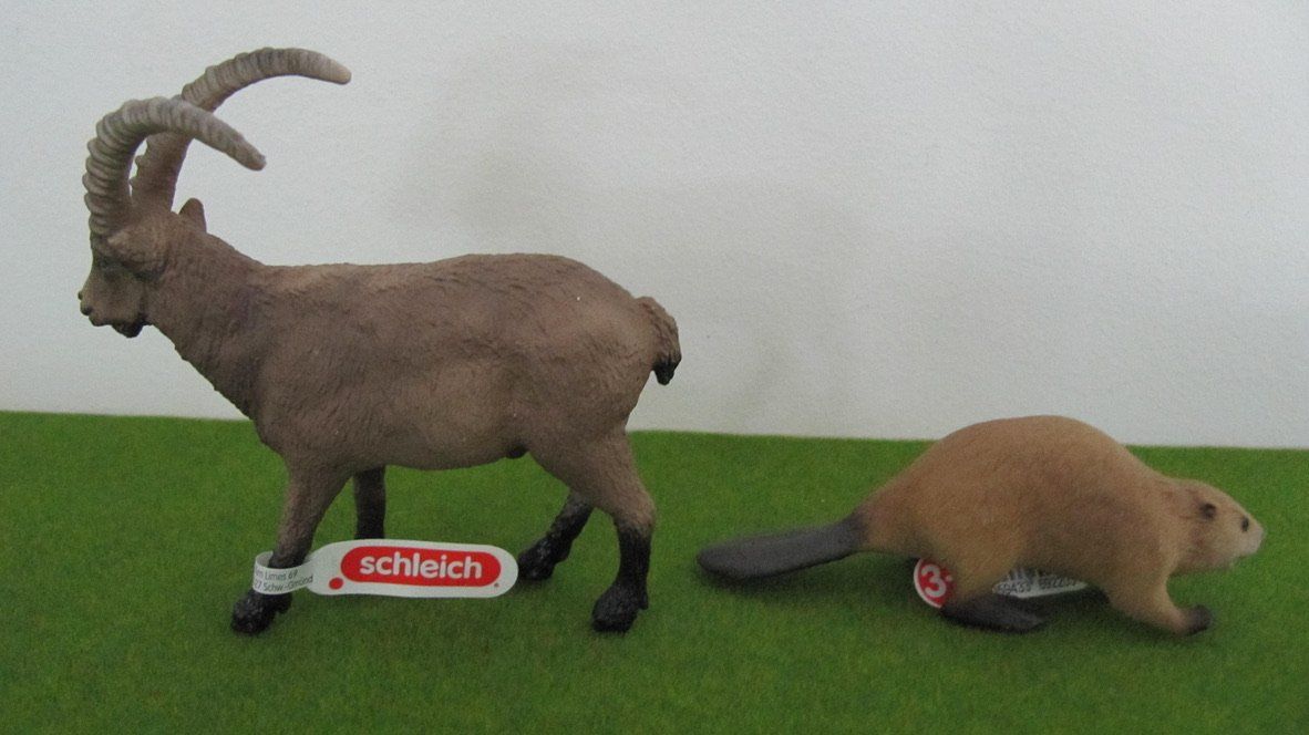 Spielzeuge: Schleich  Steinbock und Biber, neuwertig – Neu (gemäss Beschreibung) aus Brunnen von Kiwiland1 4