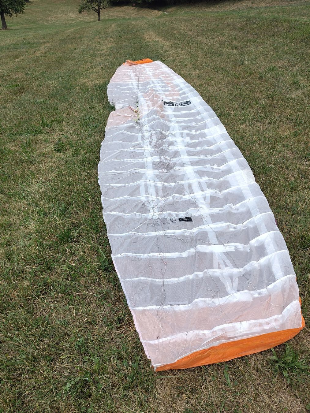 Aquilone: Fone Halo 12m Kite – Usato da Uznach venduto da TheRoyalrider 1