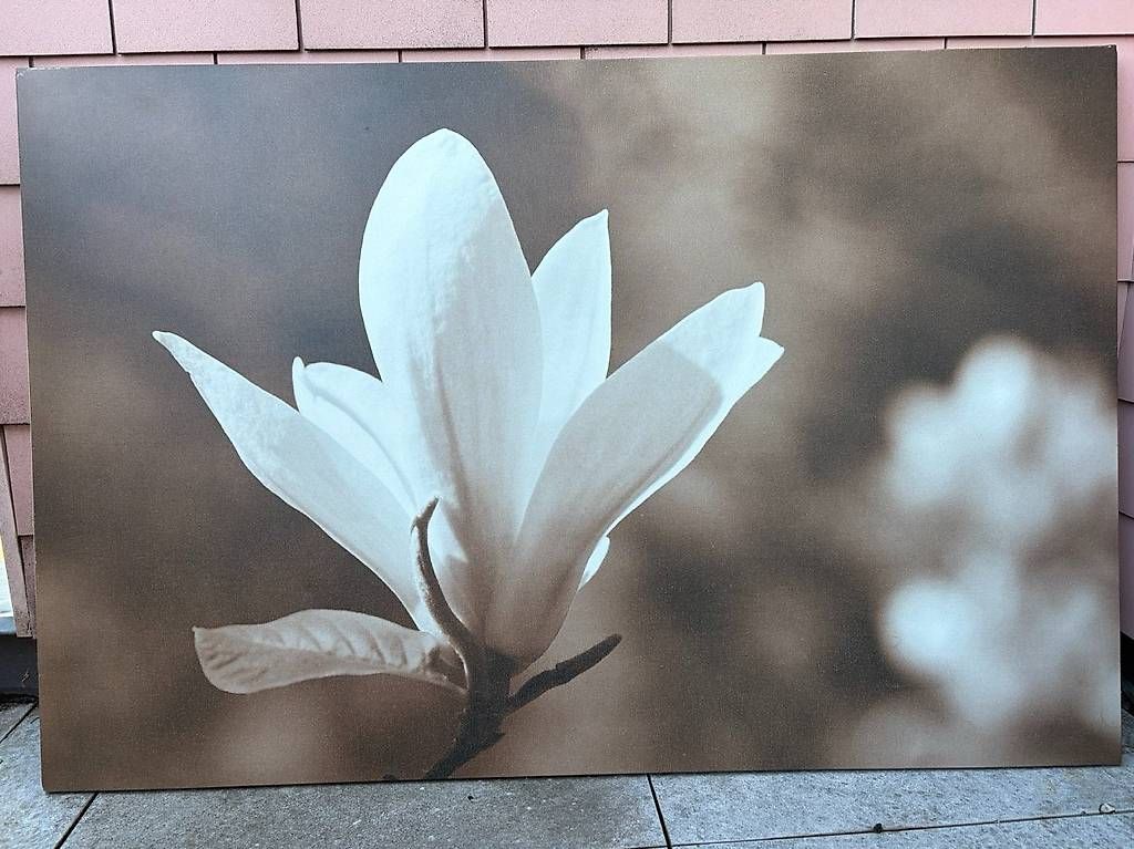 Posters & Illustrations: Verschiedene Bilder – D'occasion à Zürich par thewildone 2