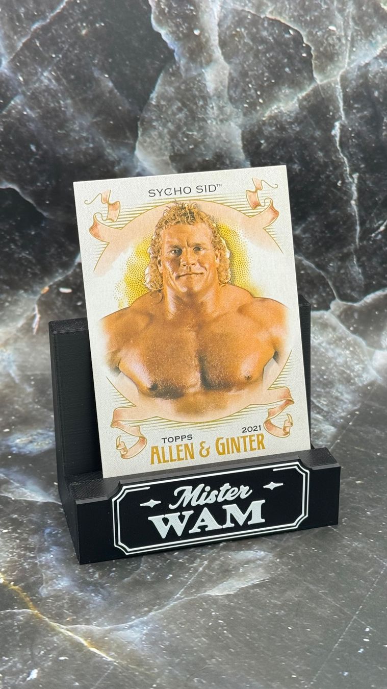 Topps Carte collezionabili: Sycho Sid-Topps WWE Heritage 2021–Allen & Ginter – Nuovo (secondo la descrizione) da Grenchen venduto da marc_wilhelm