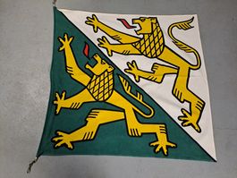 KANTONS FAHNE Thurgau 96x96 cm, super Qualität