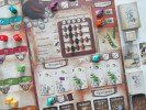 Jeux: Genotyp (inkl. Mini-Erweiterung) – Neuf avec emballage d'origine à Roggwil TG par Tarina27 2