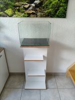 Dennerle cube