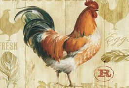 Blechschild-HÜHNER-FRESH EGGS-FRISCHE EI