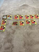  Panini EGV images FIFA World Cup 2026 Egypte