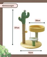 Katzenbaum