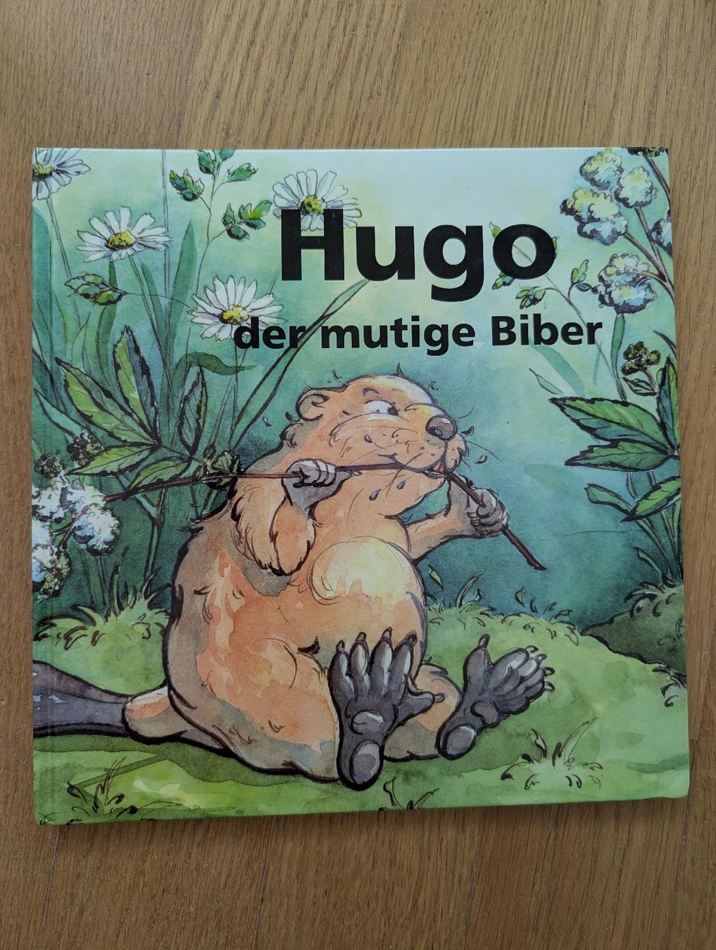 Libri: Hugo, der mutige Biber - Kinderbuch – Usato da Wädenswil venduto da HummerZH