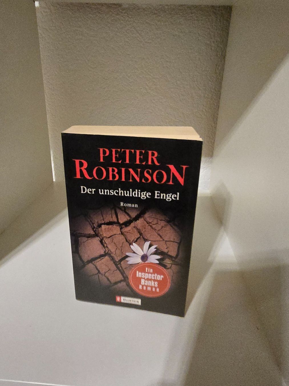Libri: Peter Robinson: Der unschuldige Engel - Top Zustand! – Usato da Cazis venduto da Hexe_78