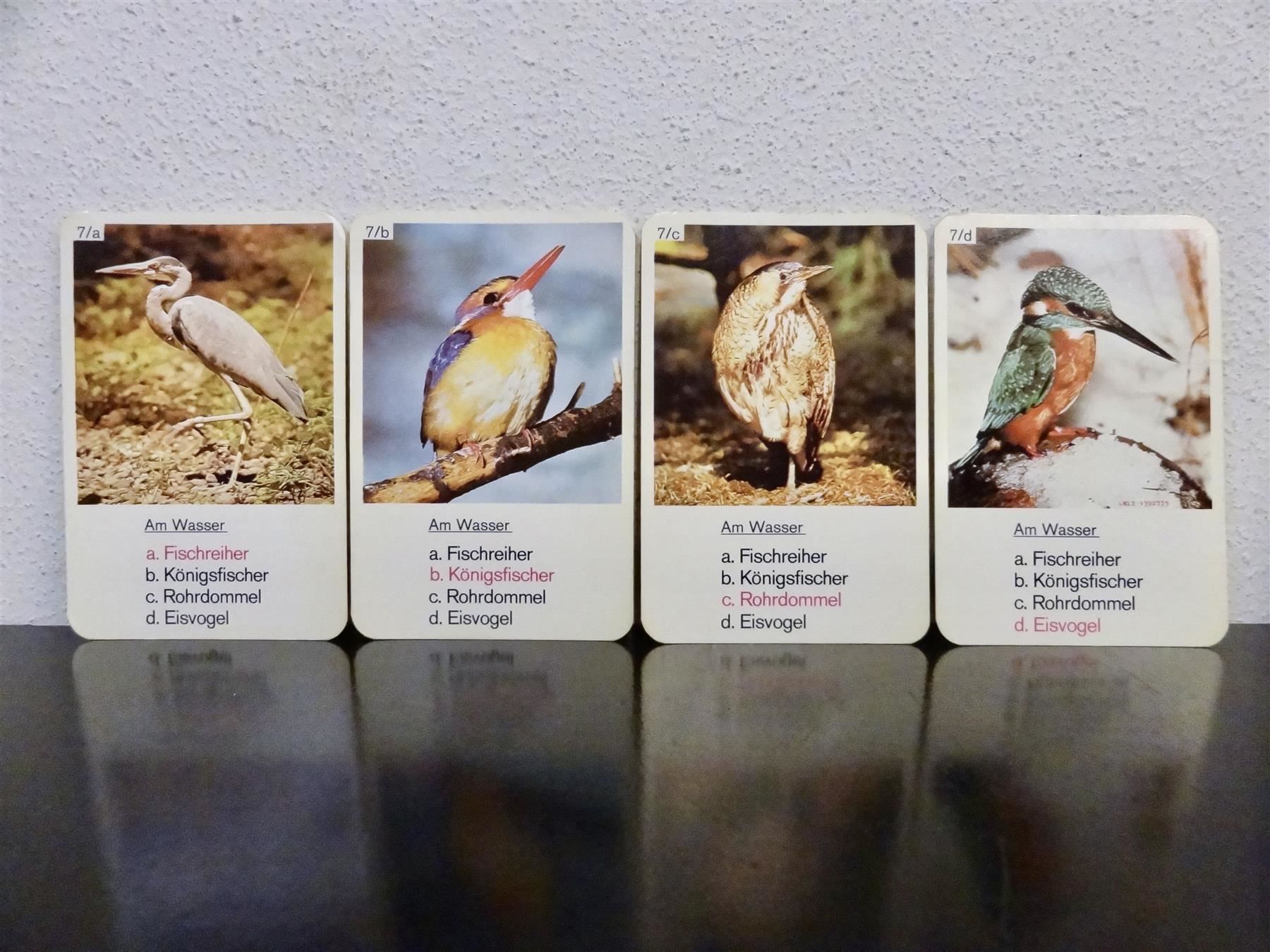 Spiele: altes Quartett TIER-QUARTETT VÖGEL – Gebraucht aus Kerzers von wisaundso 8