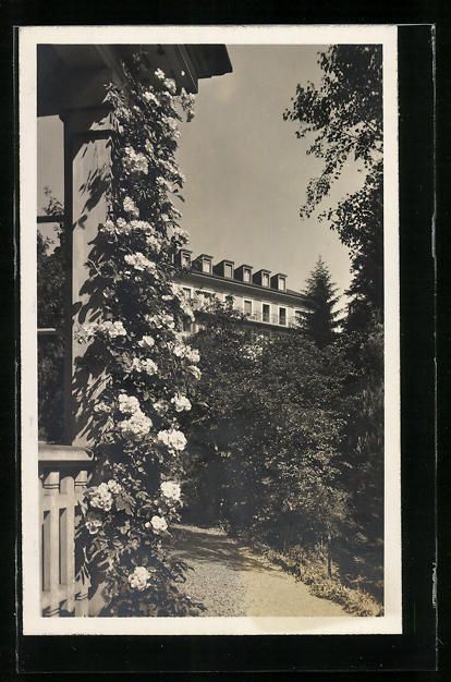 Cartoline postali: Rheinfelden, Solbad Schützen, Gartenpar – Usato da Berlin venduto da bartko-reher