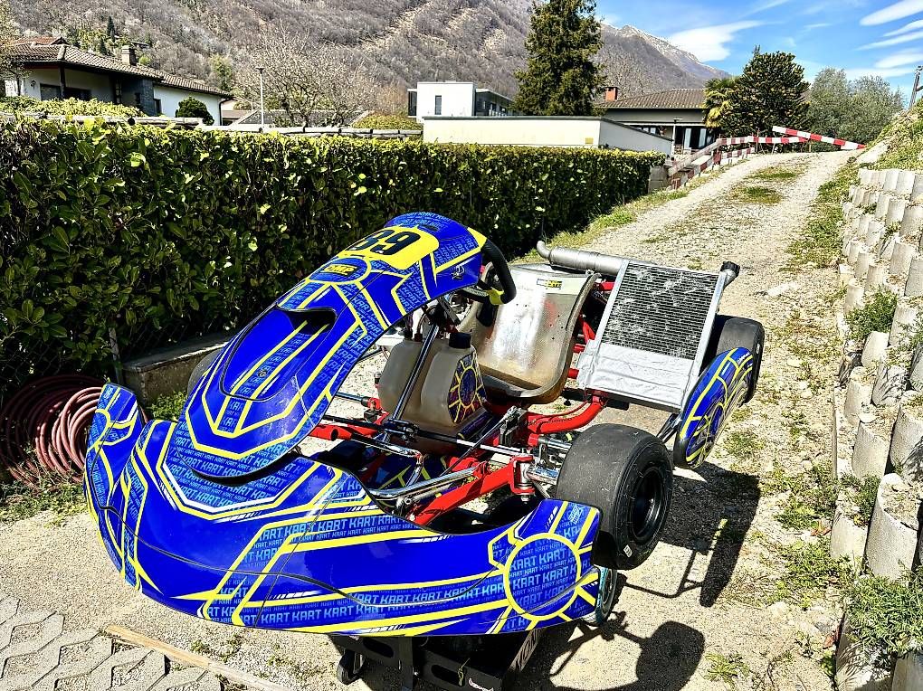 Karts: Kart 125 vortex DVS – Gebraucht aus Gravesano von jonnykart 1