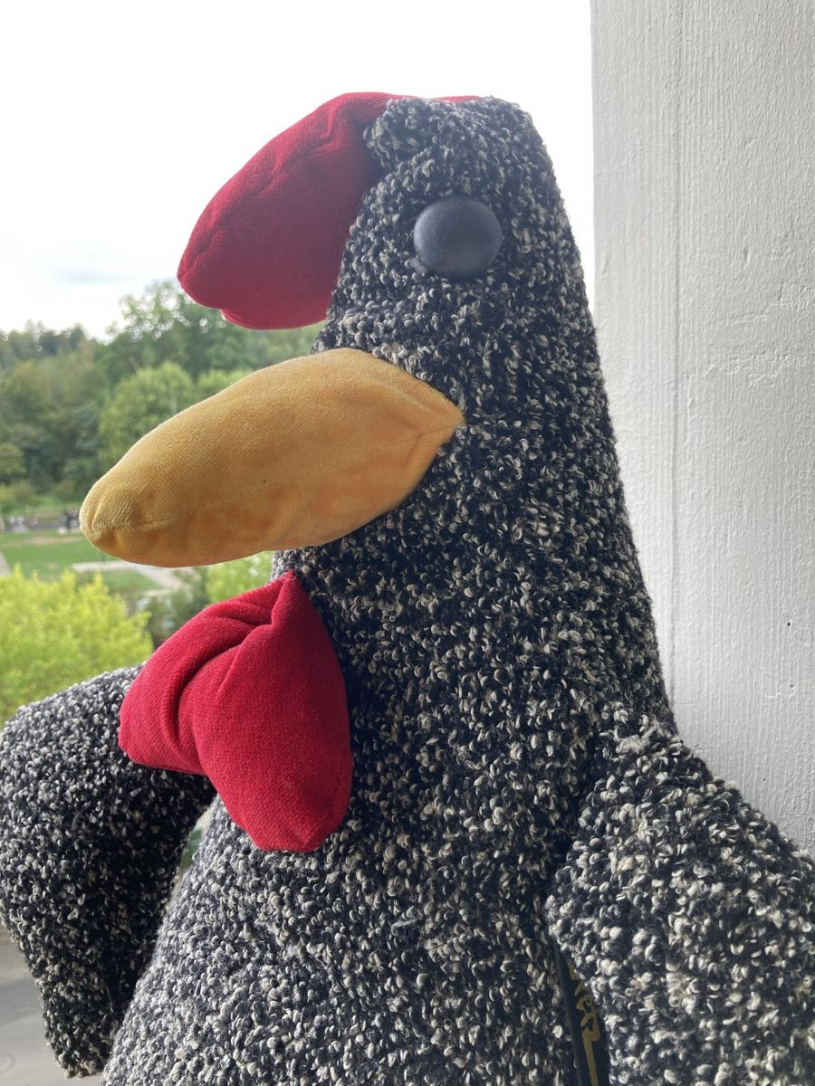 Bretz Kissen: Bretz Sofakissen Huhn – Gebraucht aus Aarau von Bauschutt 1