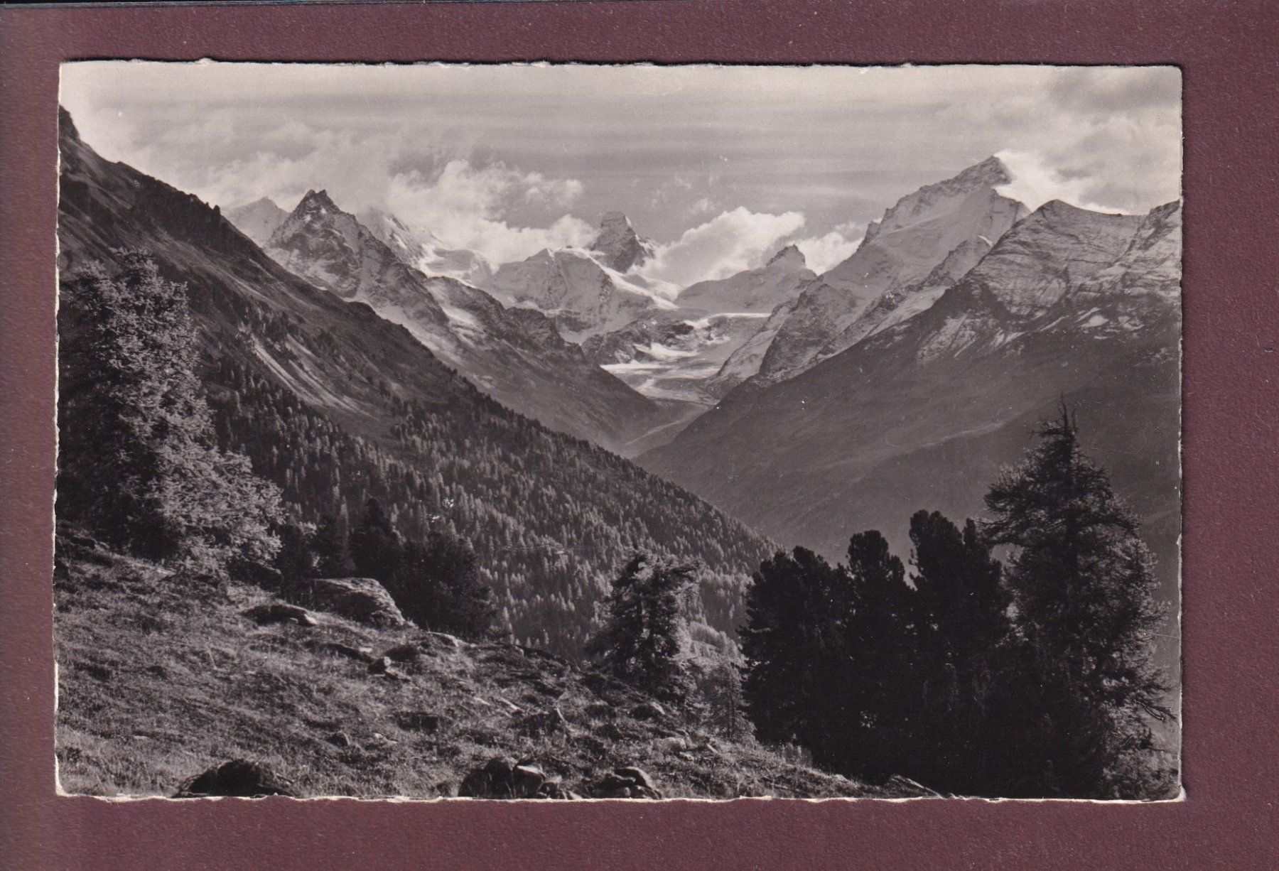 Cartes postales: ALPE DE TIGNAUSA – D'occasion à Pully par nicecards
