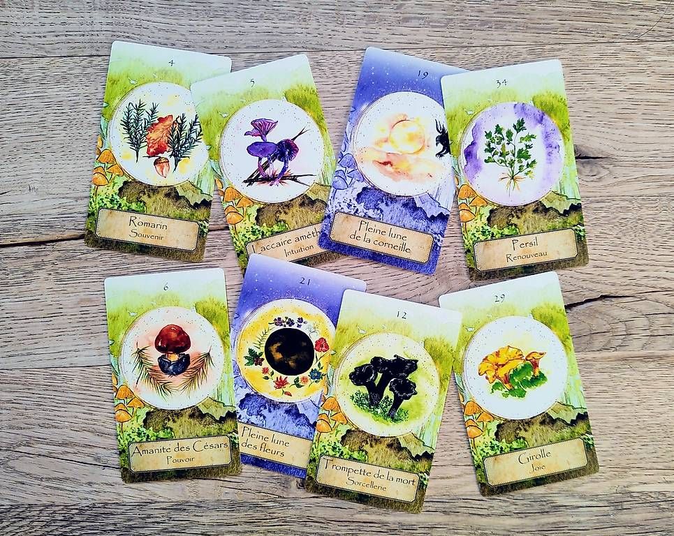 Giochi: Oracle de La Magie Forestière, neuf – Nuovo e nell'imballaggio originale da Yvonand venduto da rox_8y69 1
