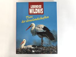 DAS BESTE Lebendige Wildnis - Tiere der Graslandschaften