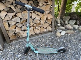 Trotti Micro Mint 