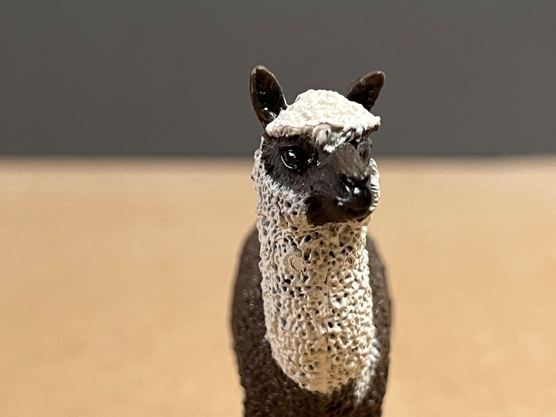 Schleich Statuette: Schleich Alpaka Stute – Usato da Ennetbaden venduto da mapa05 2