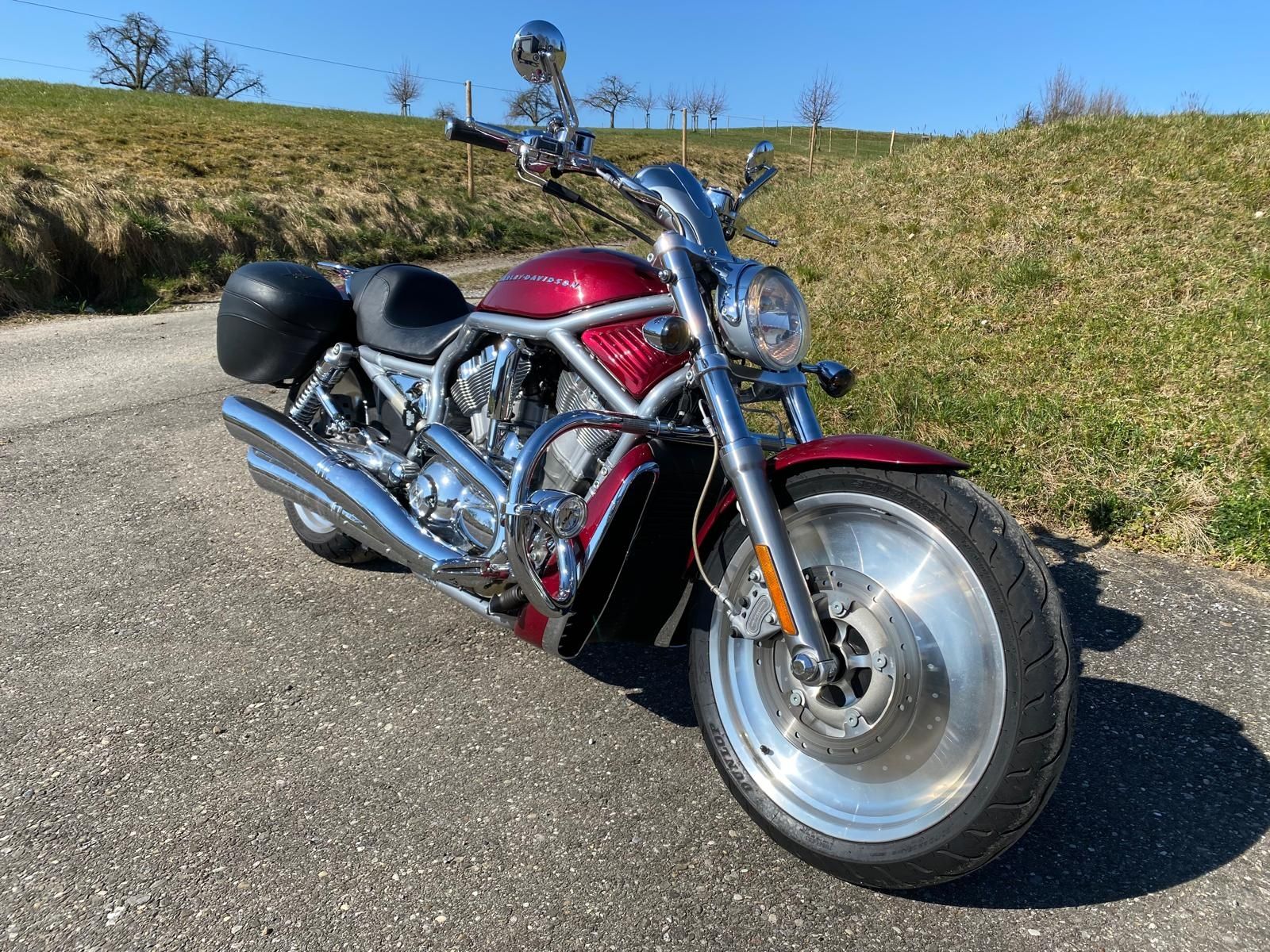 Harley-Davidson Chopper: Harley-Davidson V-Rod A Motorrad rot / grau – Gebraucht aus Zuckenriet von Res.