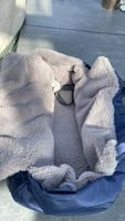 Kuschelige Transporttasche Hund/Katze