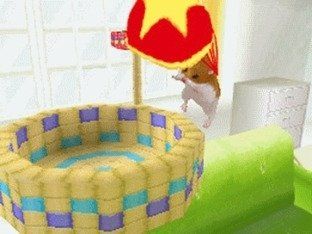 Nintendo Giochi: 😎Petz Hamster Superstar  DS – Usato da Schüpfheim venduto da Games_Spielkonsolen 3