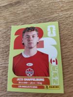 Panini Wm 2026 Can 14