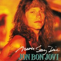 Bon Jovi Vinyl Single von 1991