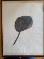 Prova d artista di Flavio Pailucci