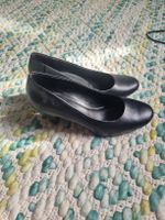 Graceland Pumps