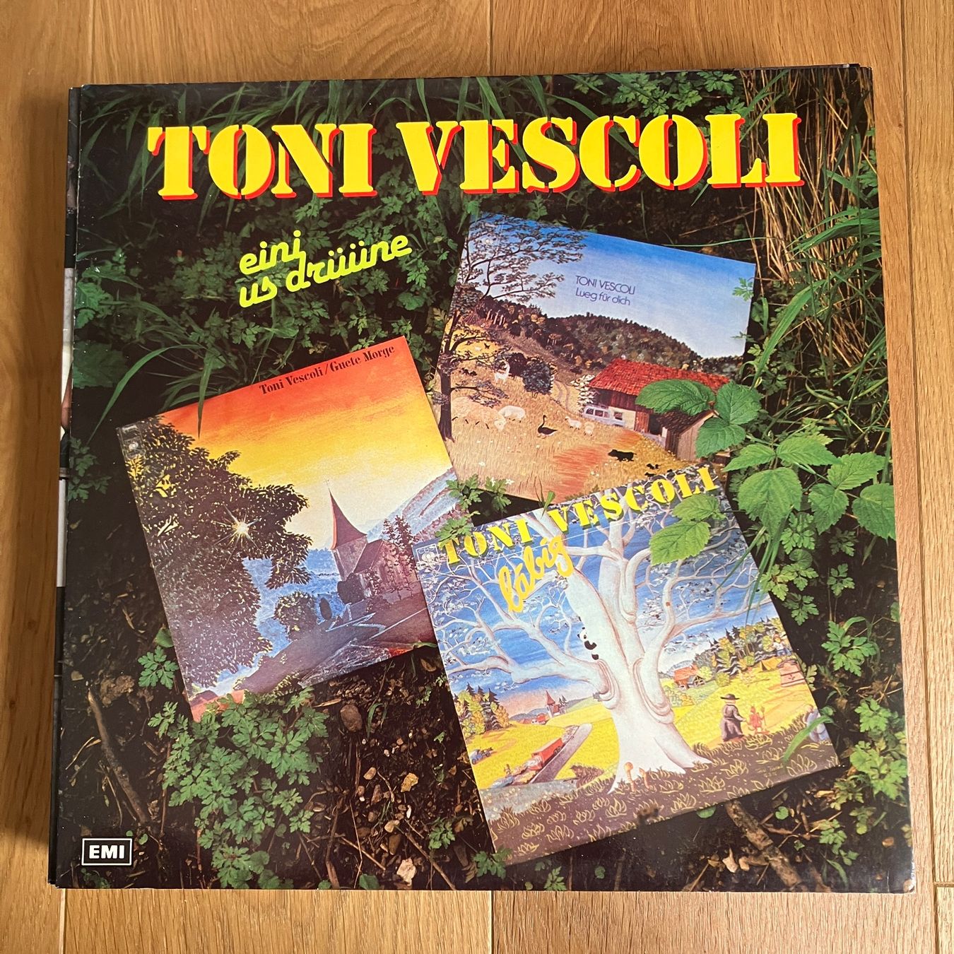 Dischi in vinile: Toni Vescoli – Eini Us Drüüne – Usato da Altdorf UR venduto da Metallic0