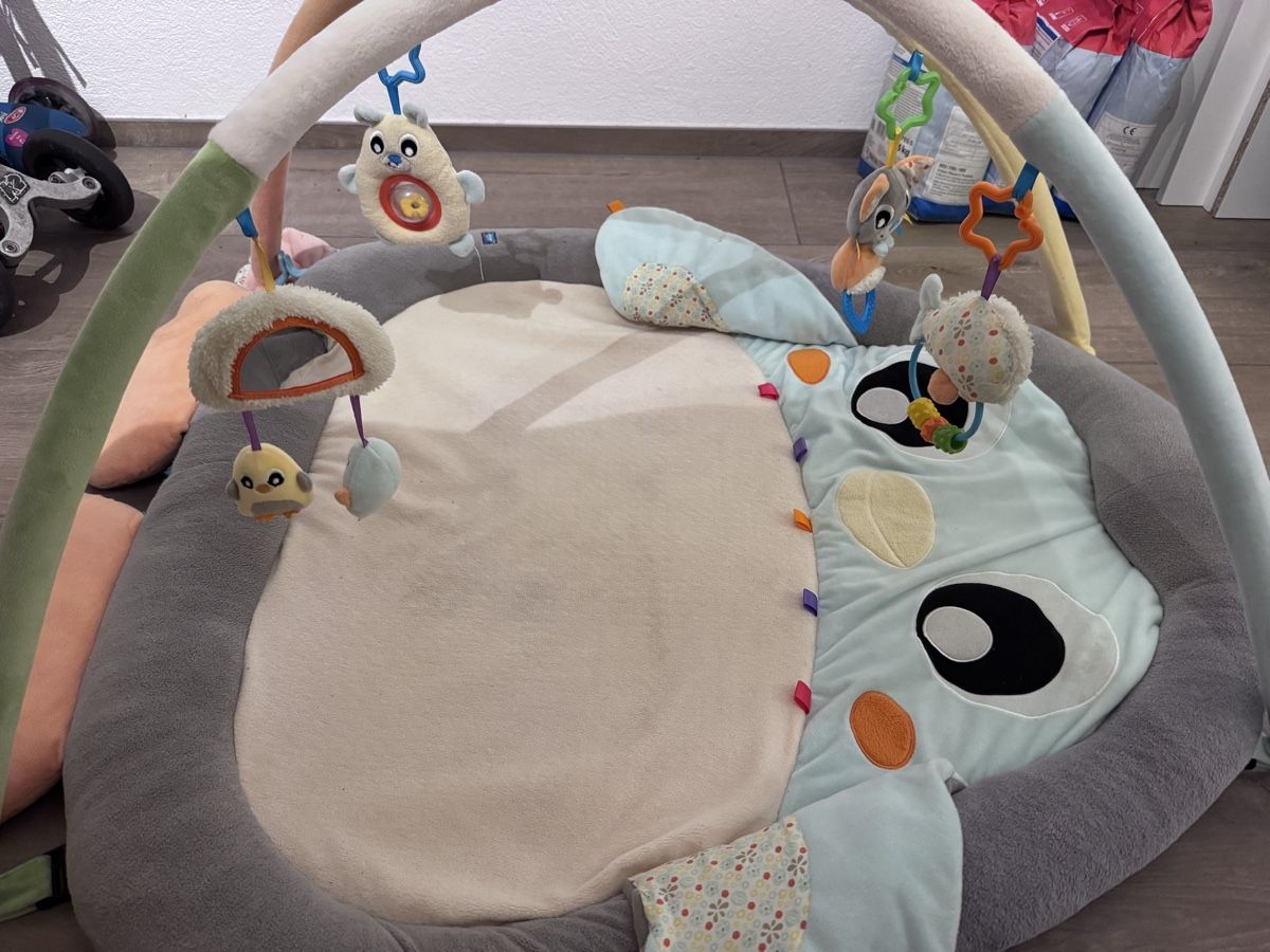Tappeto da gioco: Playgro Penguin Playmat – Usato da Zürich venduto da ame_xv95 2